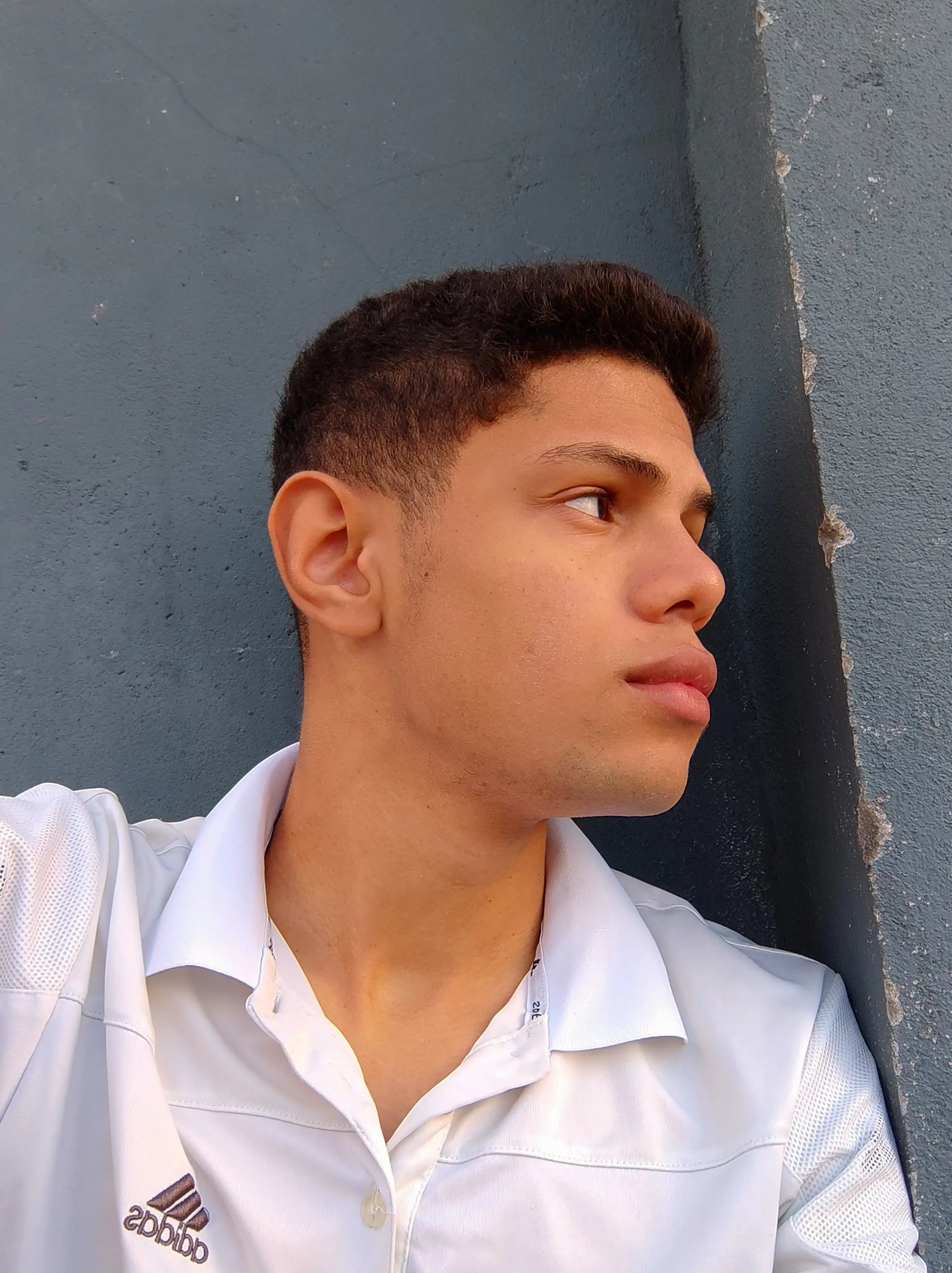 Renato Rodrigues
