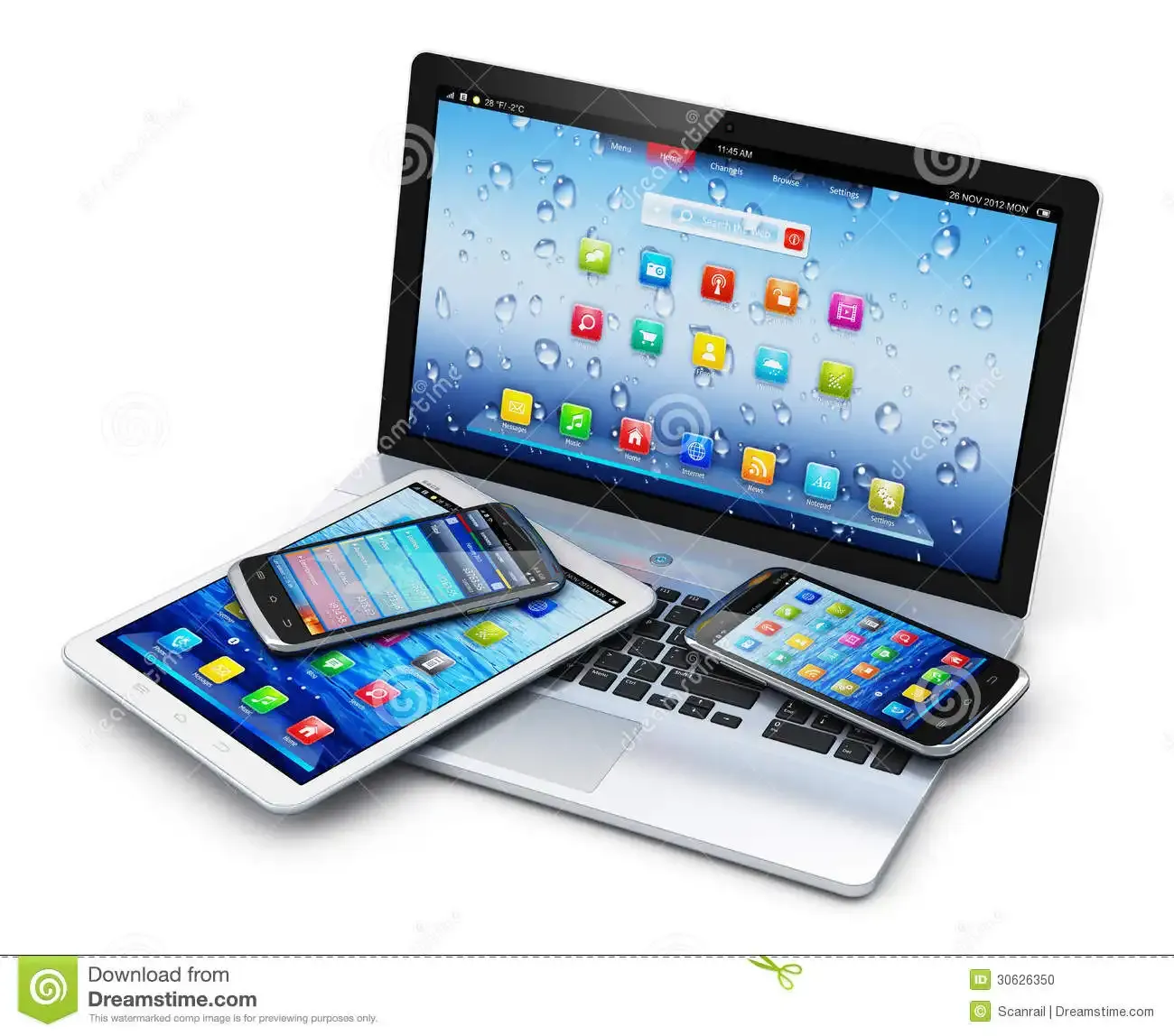 Article image