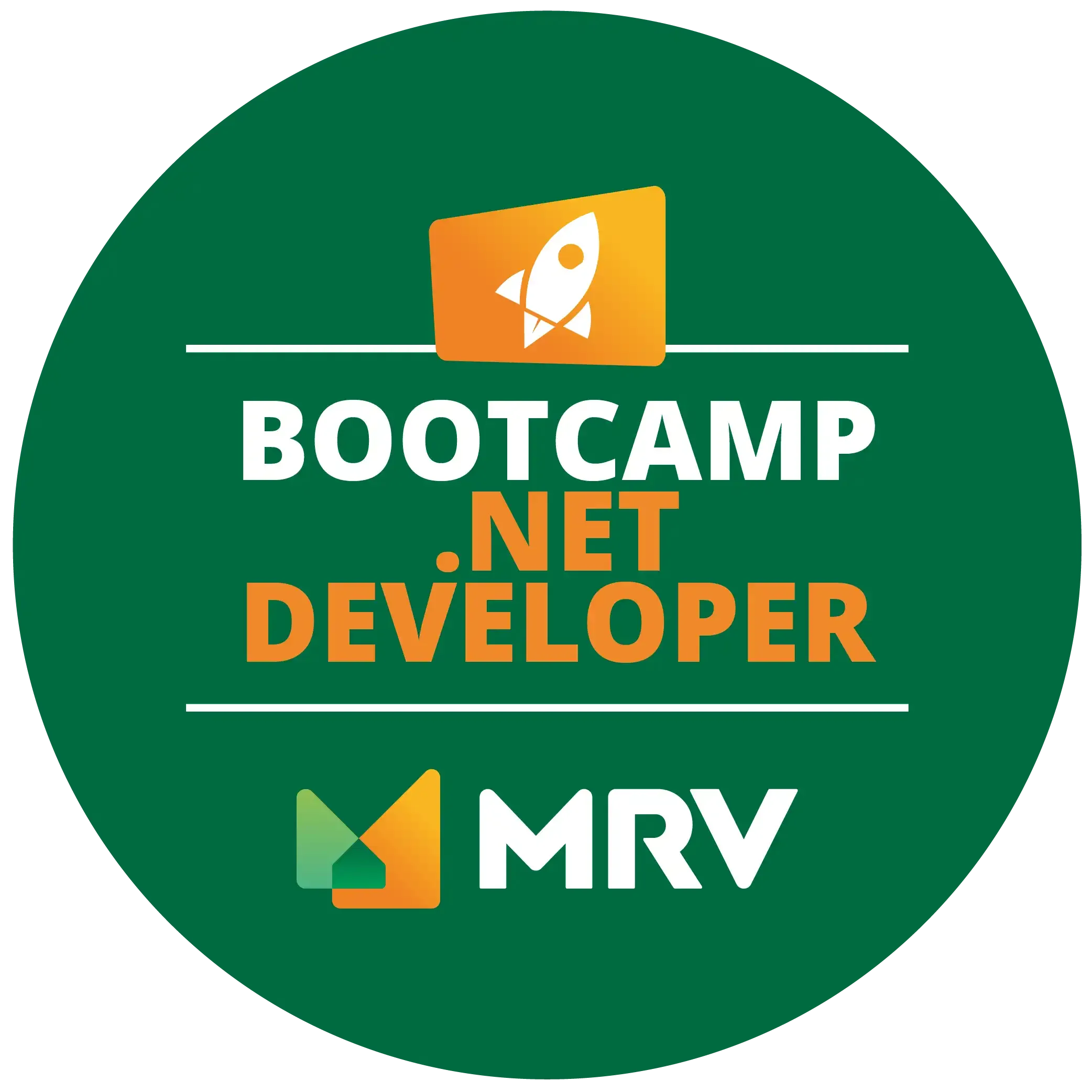 MRV .NET Developer