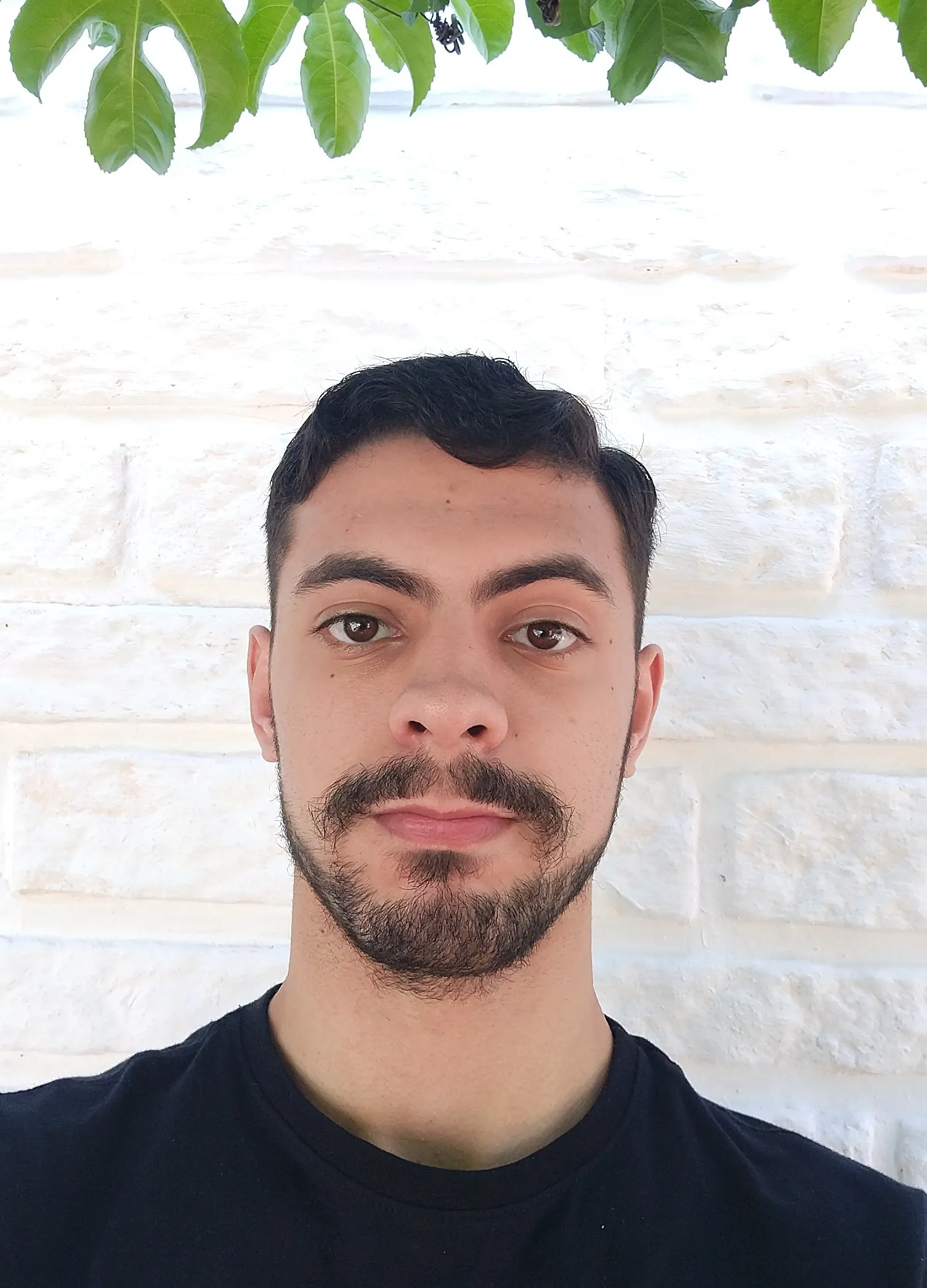 Angelo Bandeira