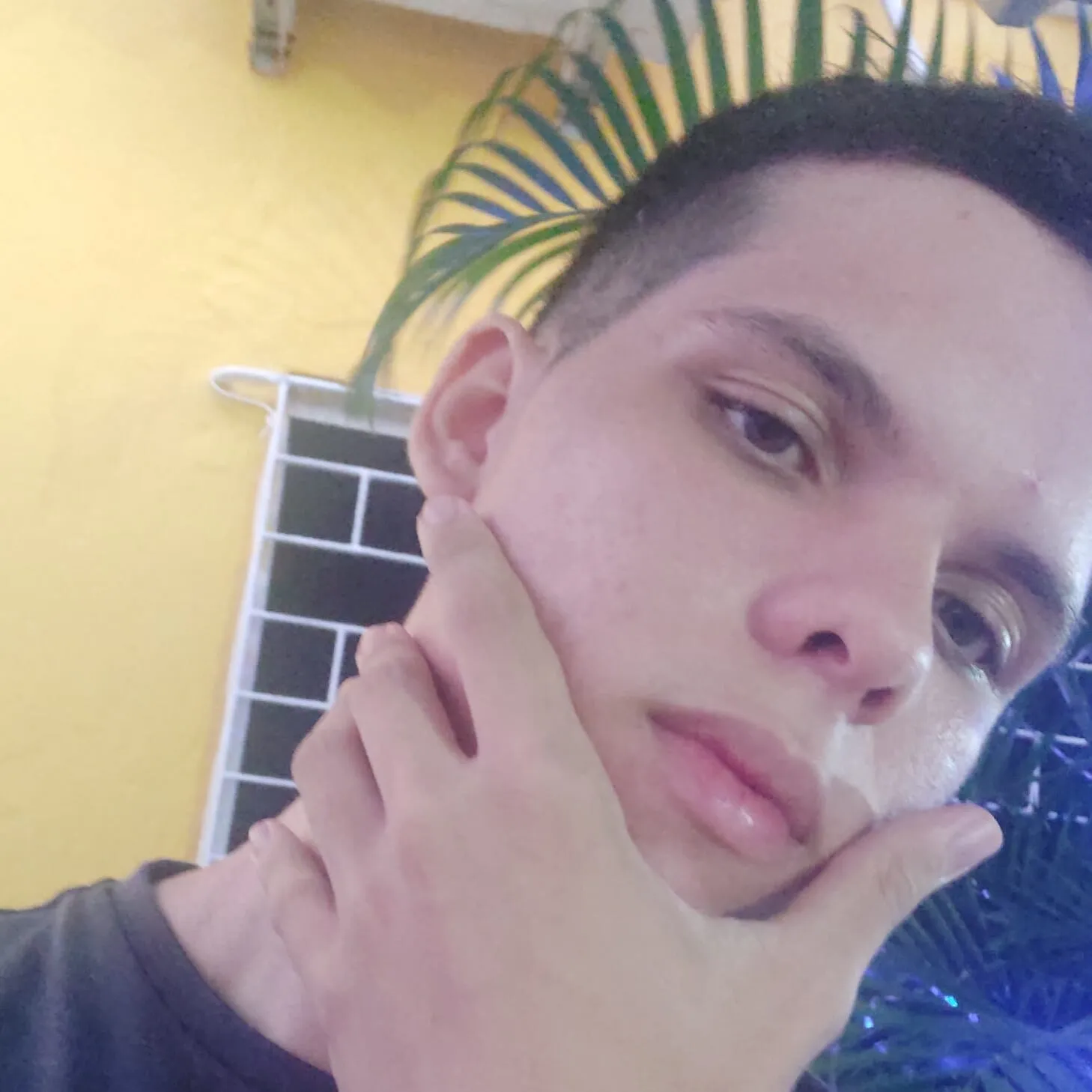 William Araújo
