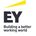 Ernst &Young Assessoria Empresarial Ltda