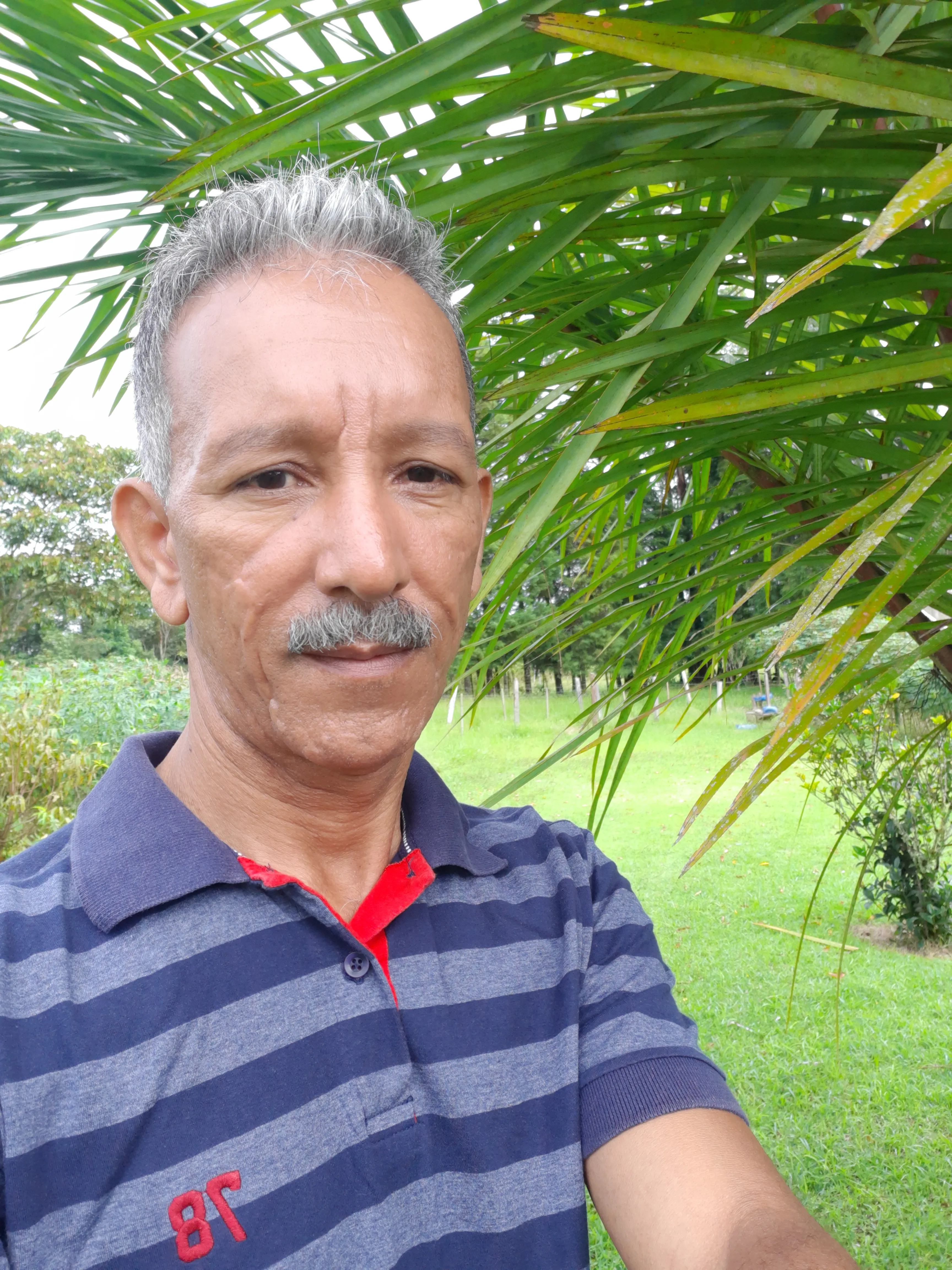 Moacir Cardoso