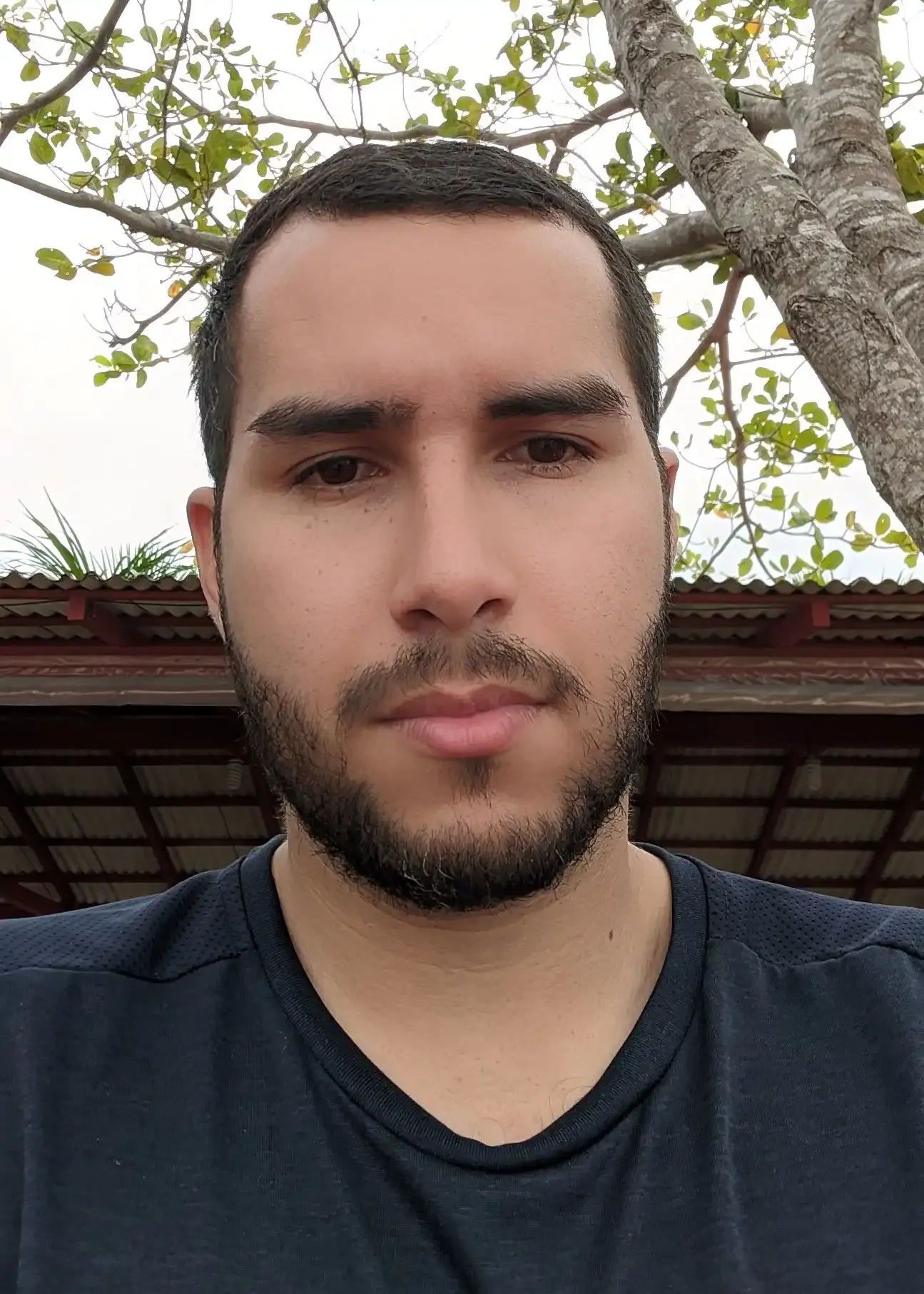 Tone Menezes